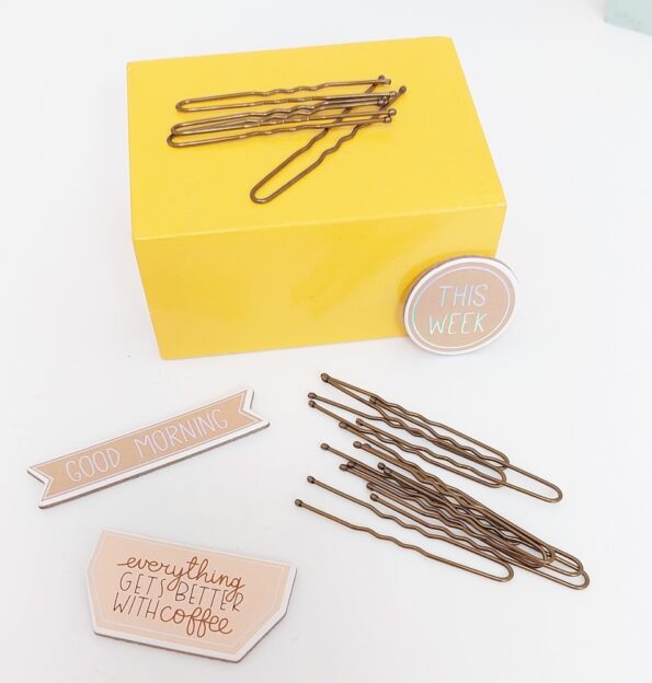 Dark Blonde Hair Pins